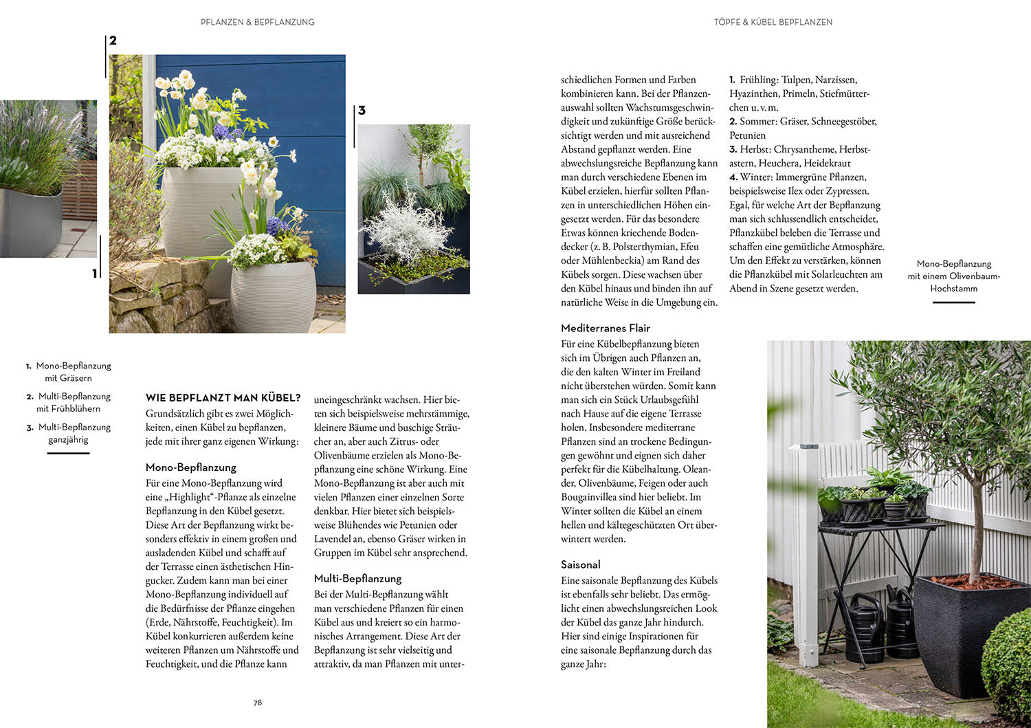 kosmos-terrassen-traum-buch-terrasse-planen-bepflanzen-diy image 6