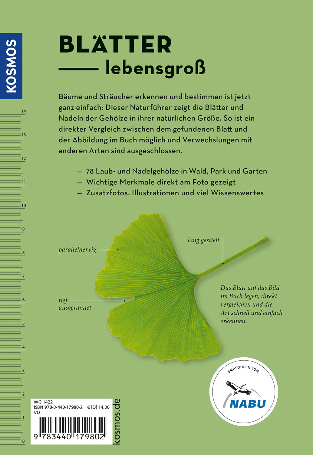 kosmos-b-ume-am-blatt-erkennen-naturf-hrer-78-arten image 2