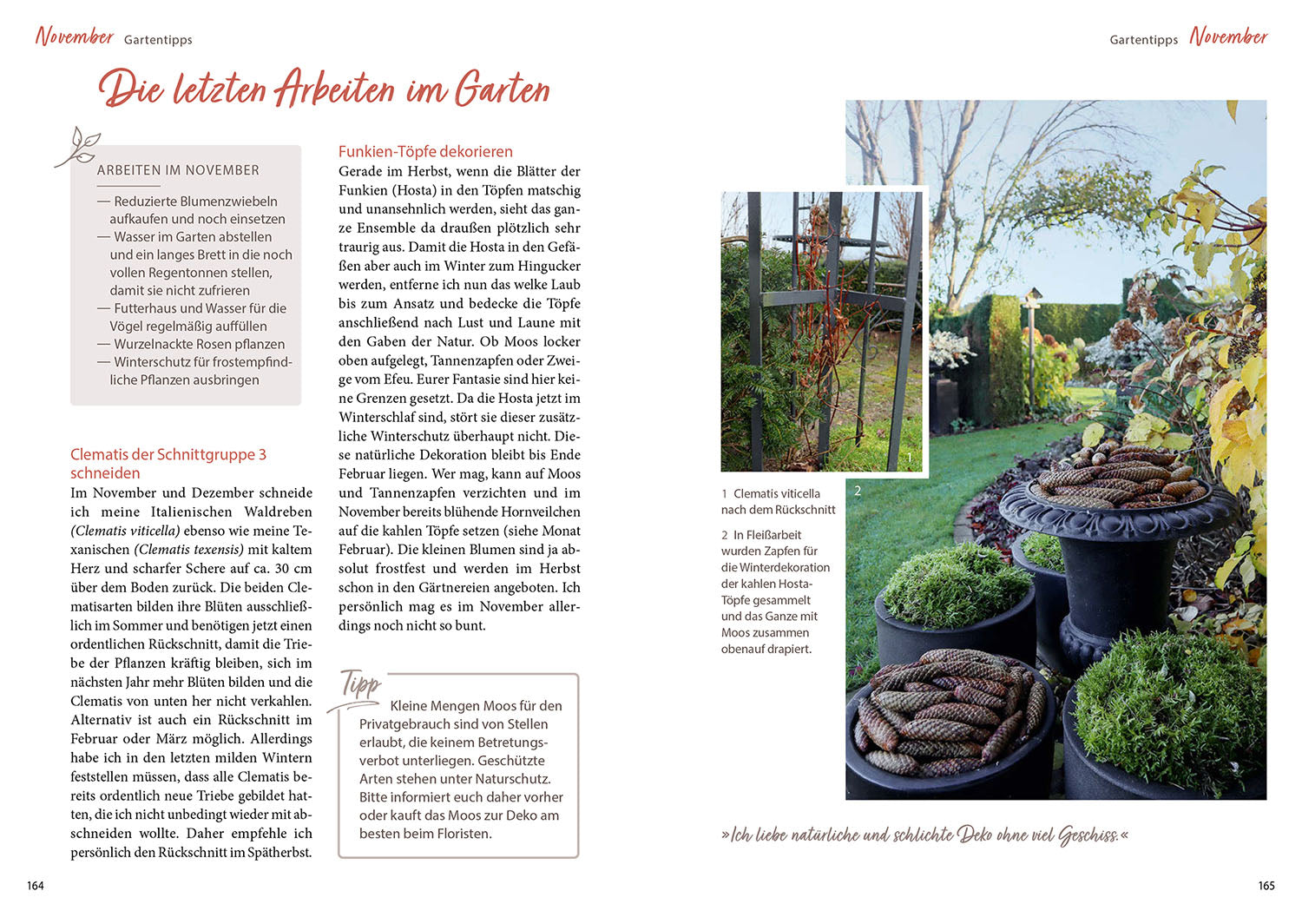 kosmos-katrins-garten-mit-herz-gabel-gartenbuch-2025-gartenkalender image 6