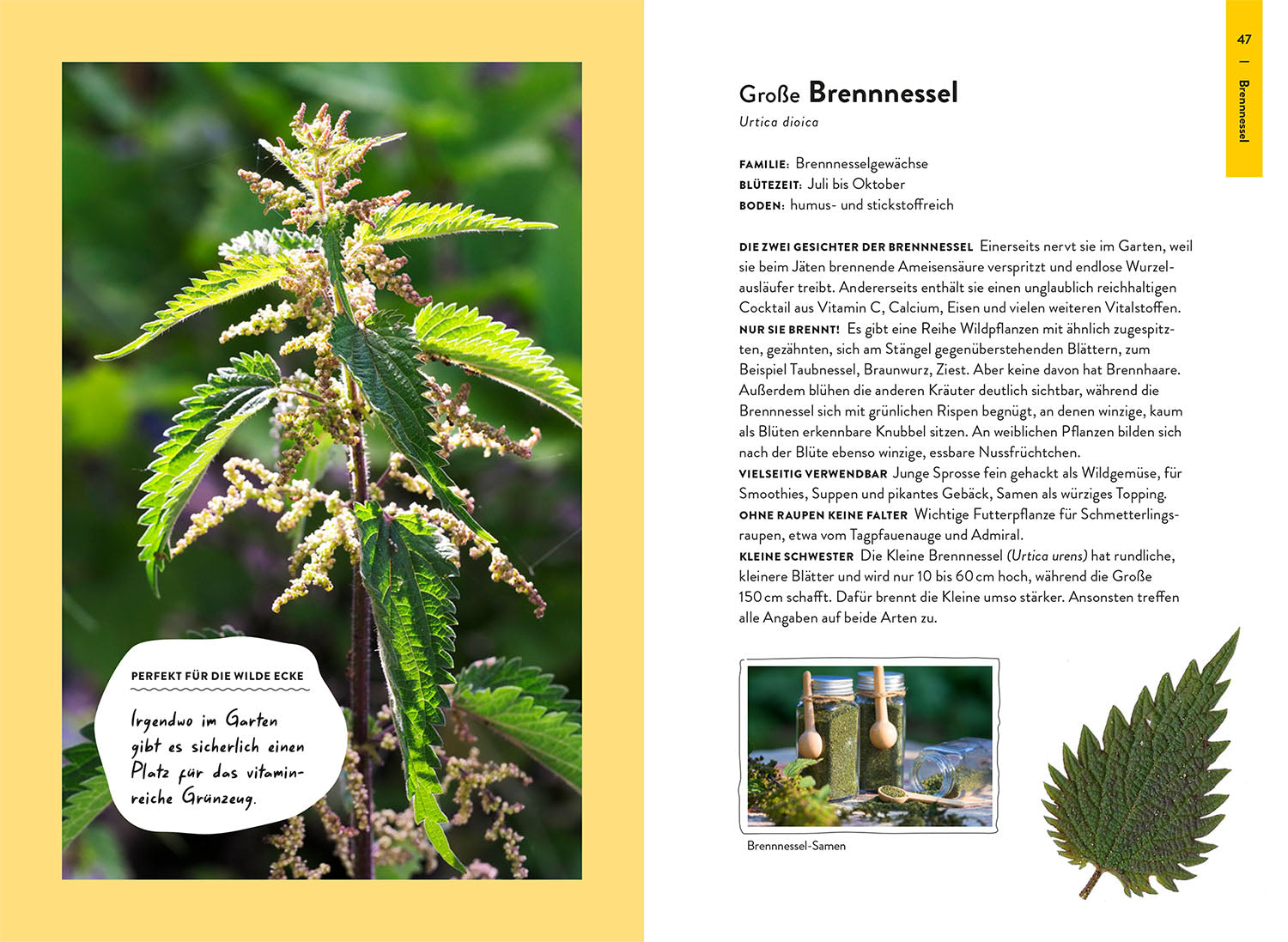 garden-guide-wildkrautampel-gartenbuch-40-wildpflanzen image 4