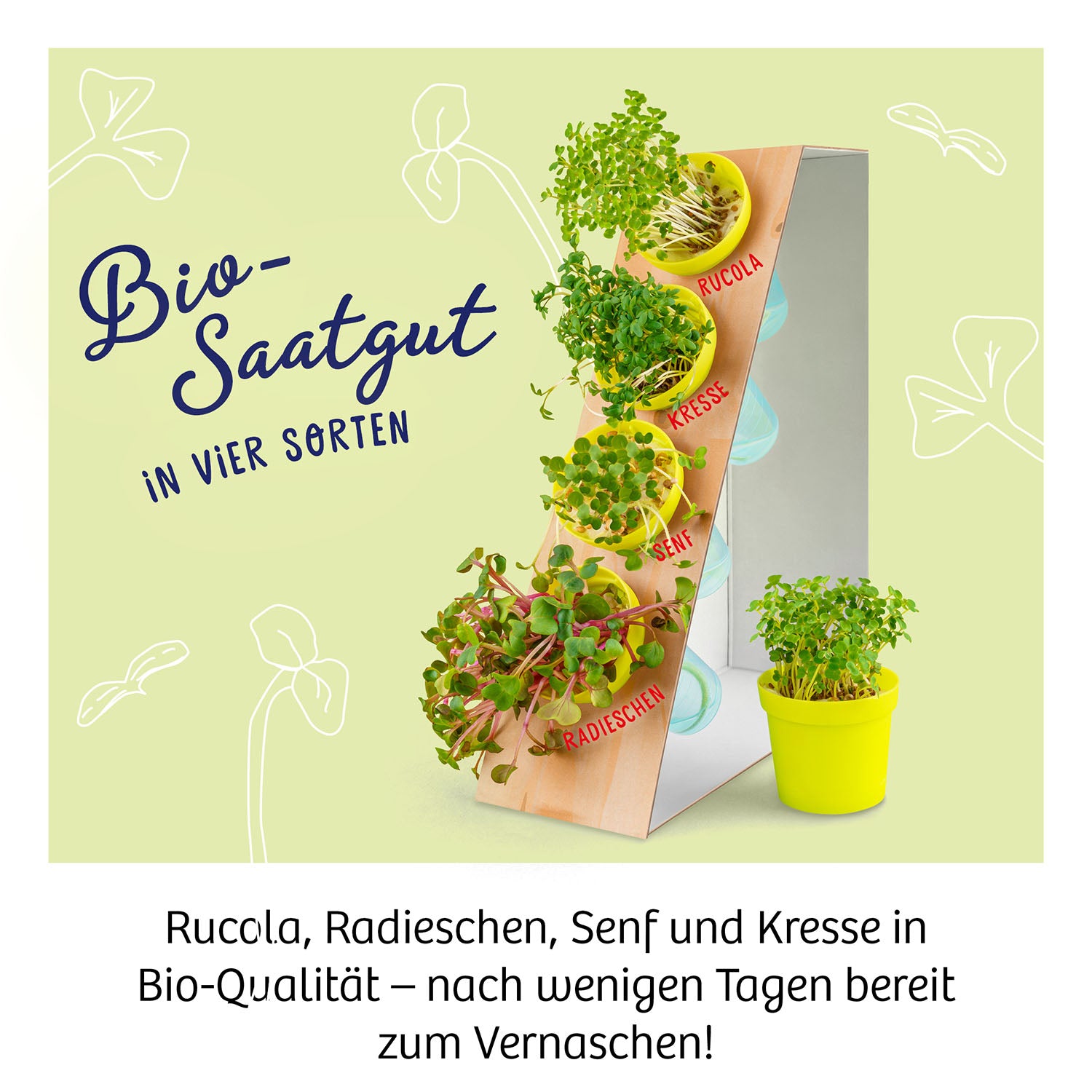 kosmos-microgreen-garten-experimentierkasten-bio-keimlinge-4-sorten image 3