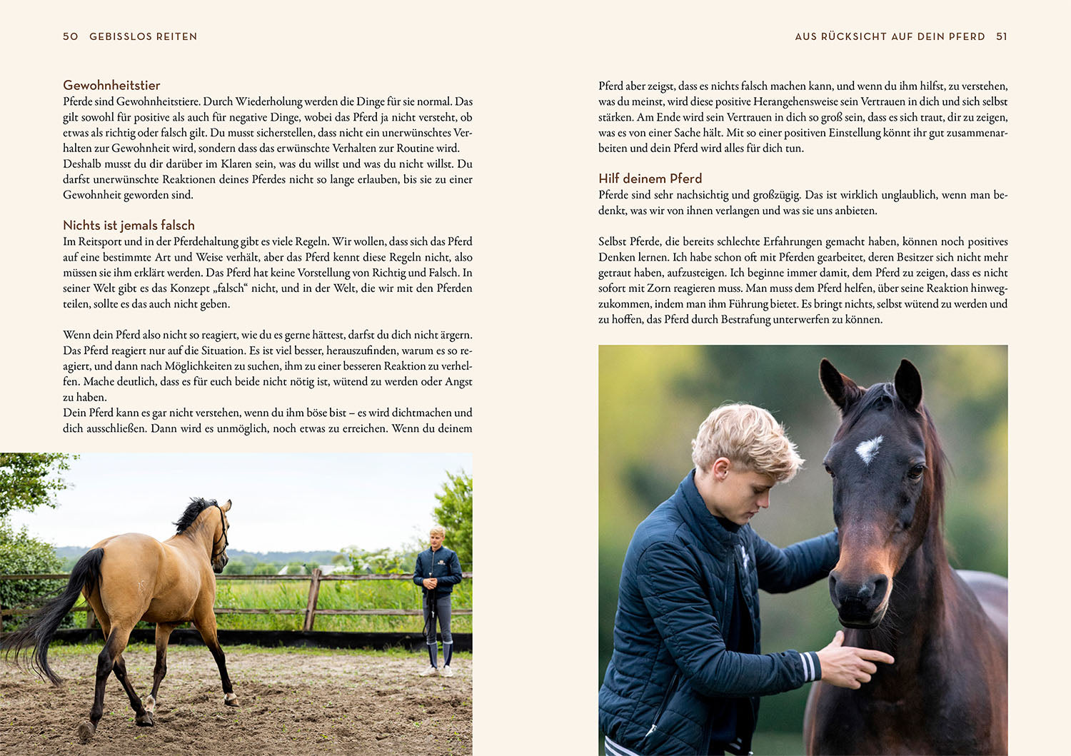 gebisslos-reiten-jesse-drent-pferdebuch-z-umungen image 4