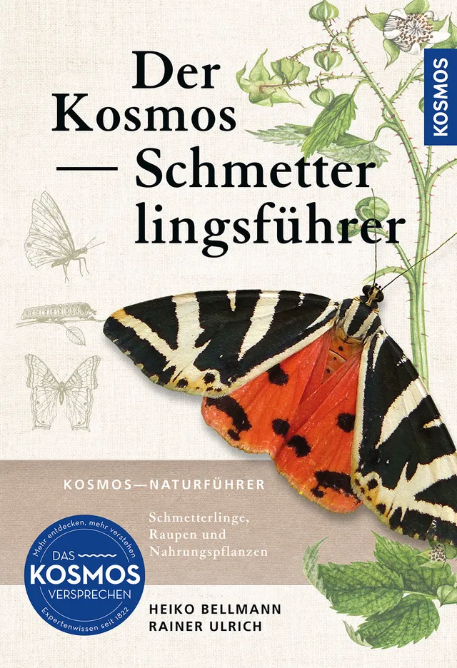 kosmos-schmetterlingsf-hrer-naturf-hrer-1100-fotos image 1