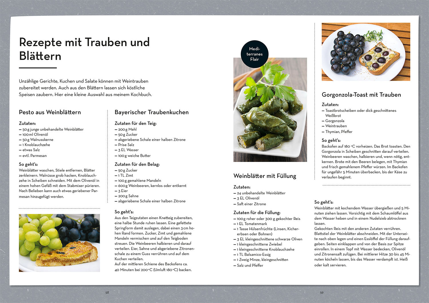 kosmos-wein-im-garten-anbauen-ernten-ratgeber-rebsorten image 5