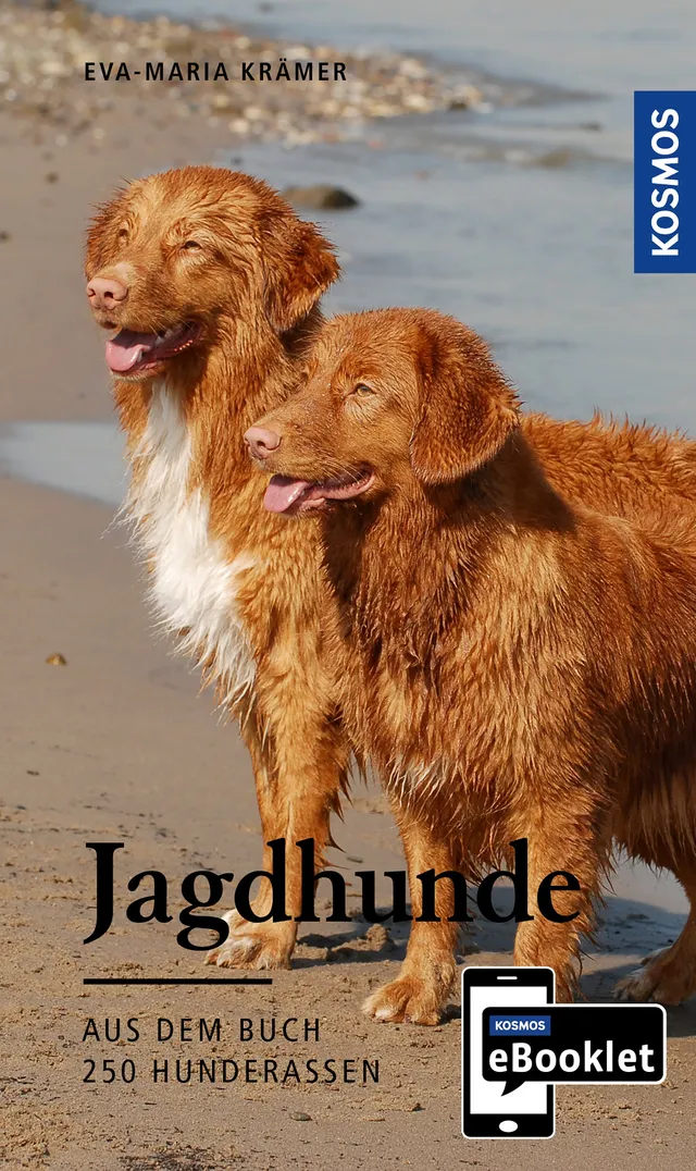 kosmos-jagdhunde-ebooklet-ursprung-wesen-haltung-ebook image 1