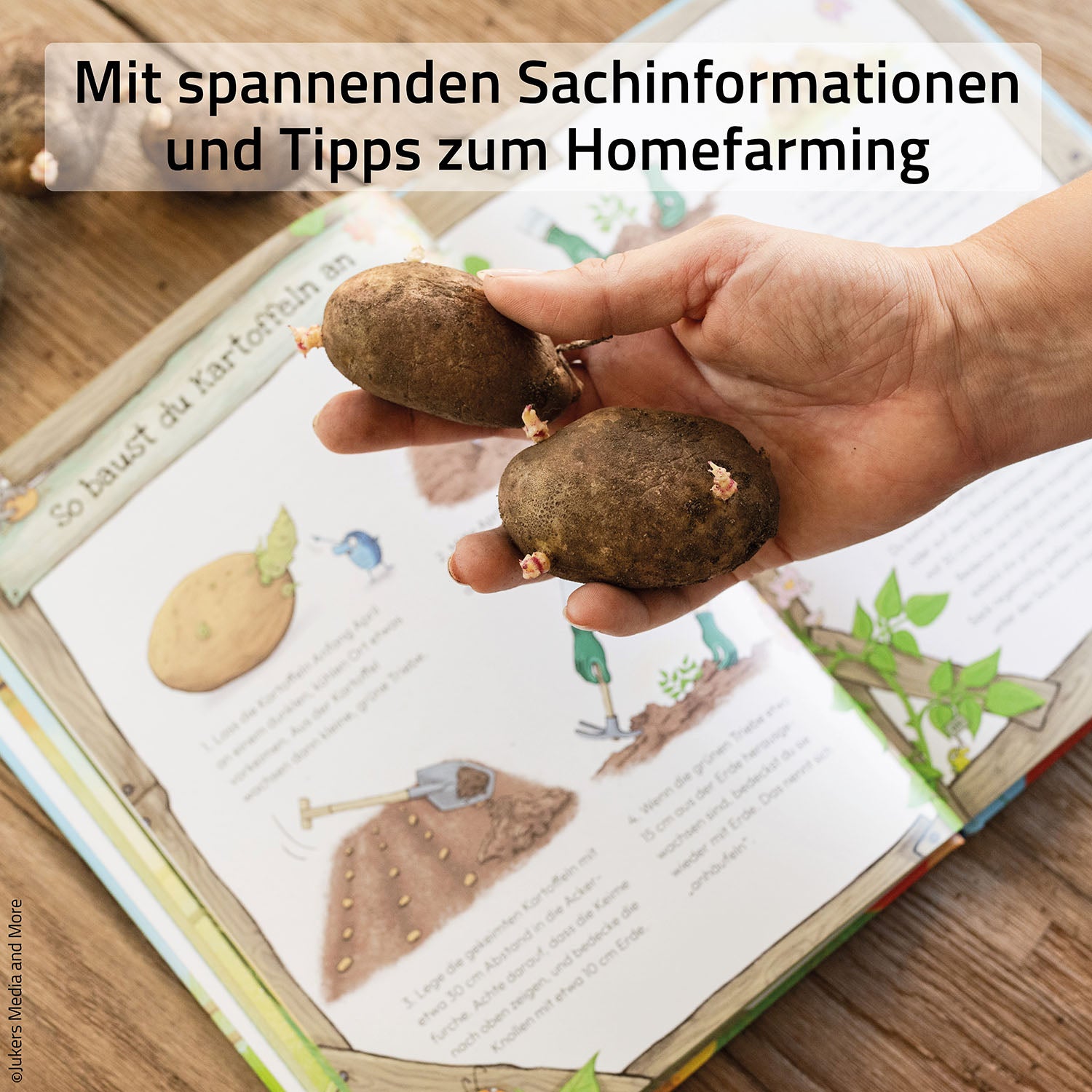 kosmos-judiths-kleine-farm-band-3-kinderbuch-fohlenschau-mitmachen image 8