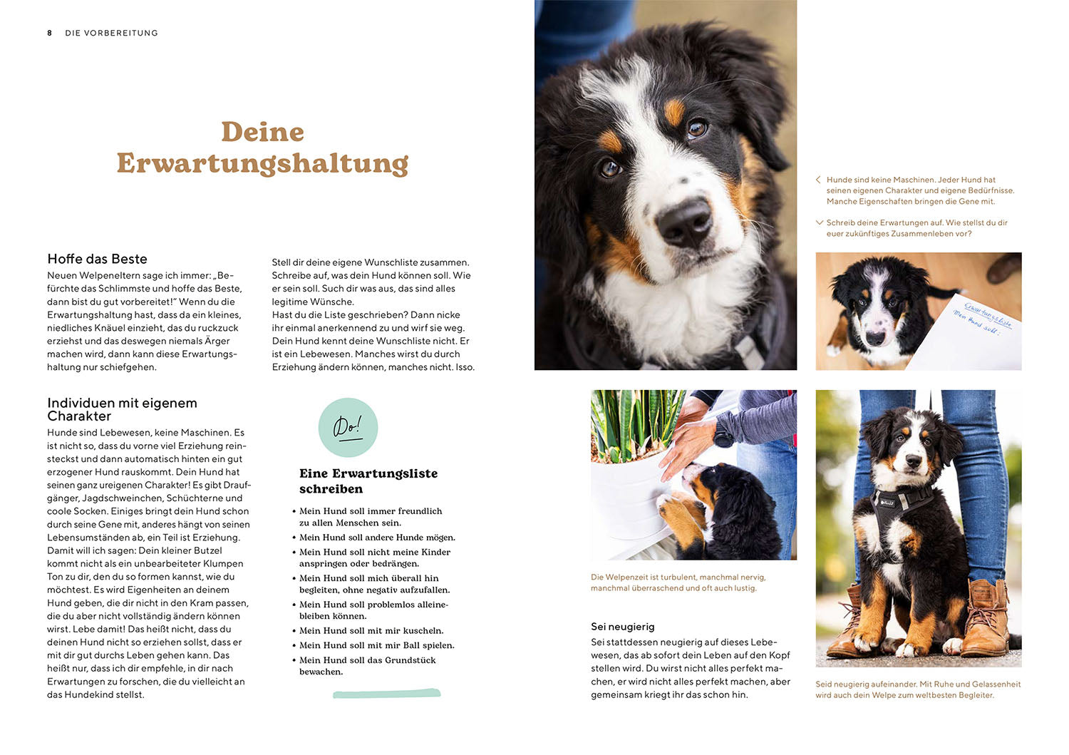 kosmos-welpenschule-ratgeber-hundeerziehung-ersthalter image 3