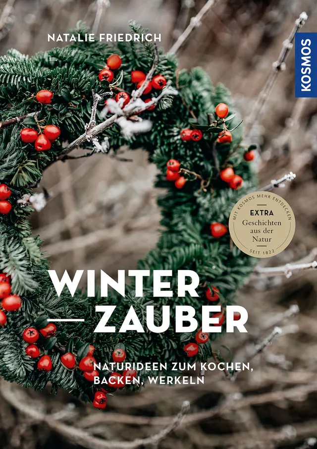 winterzauber-natur-bastelbuch-ebook-advent-familie-rezepte image 1