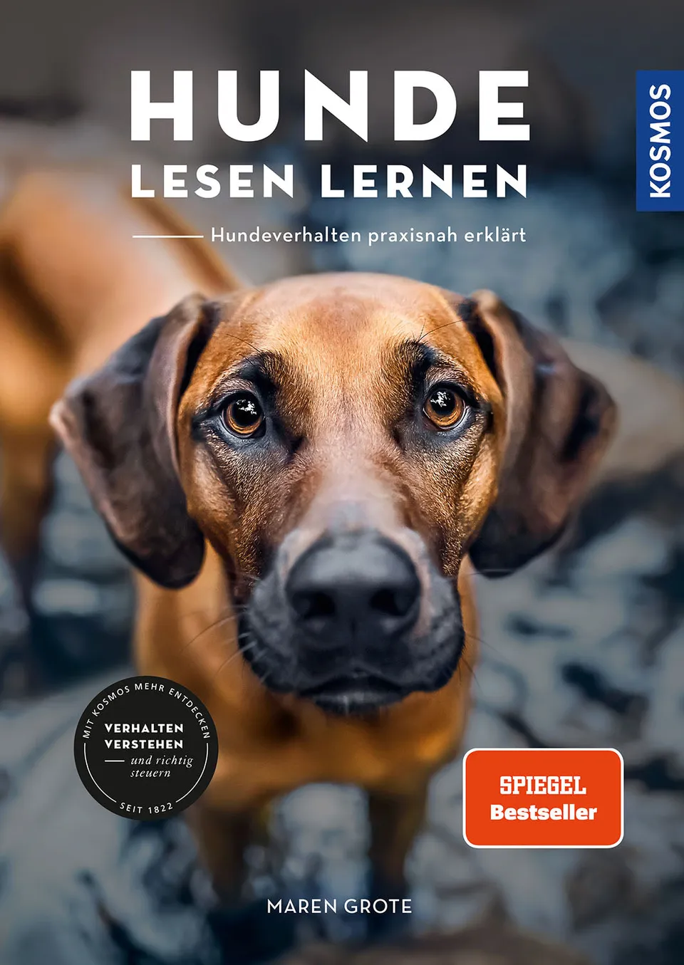 kosmos-hunde-lesen-lernen-buch-maren-grote-ratgeber image 1