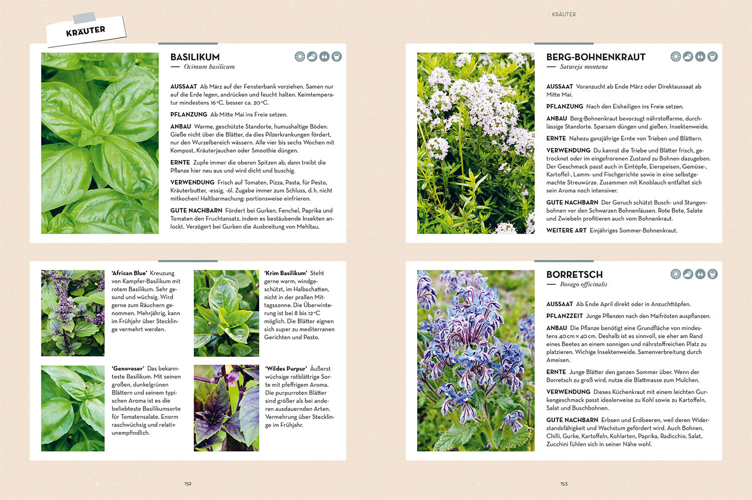 kosmos-selbstversorgung-aus-garten-und-natur-gartenbuch image 6