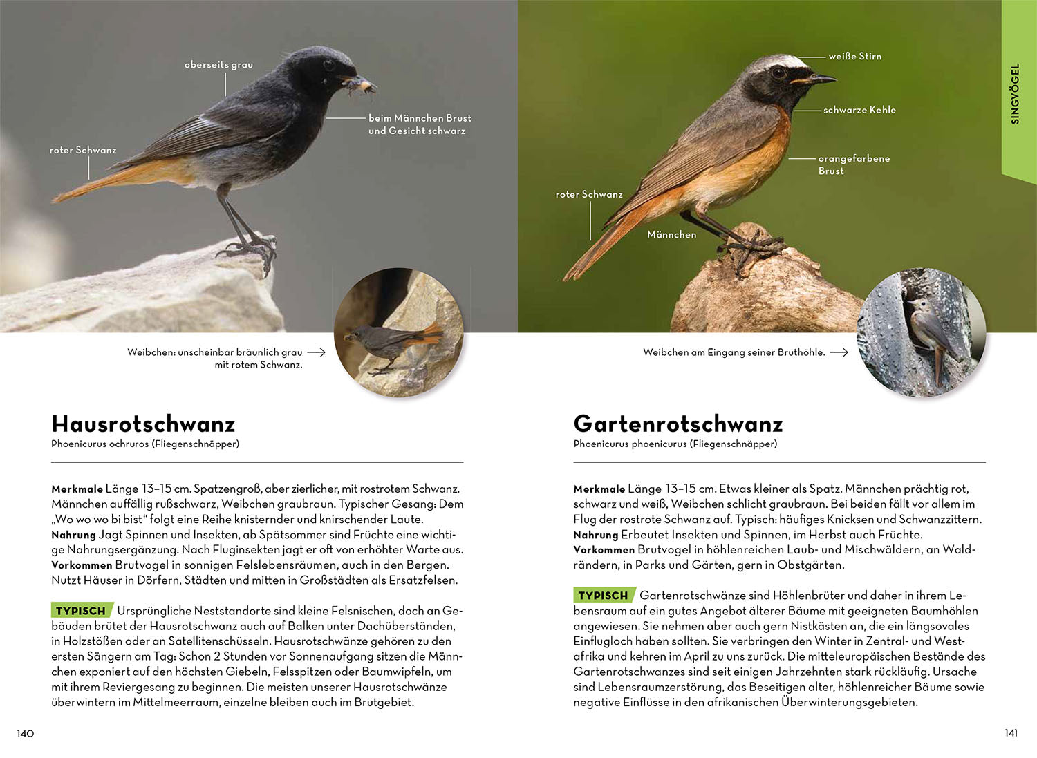 kosmos-tiere-und-pflanzen-deiner-heimat-naturf-hrer-500-arten-2 image 4