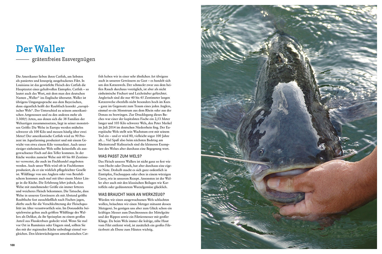 kosmos-fischk-che-f-r-angler-kochbuch-fischgerichte image 5