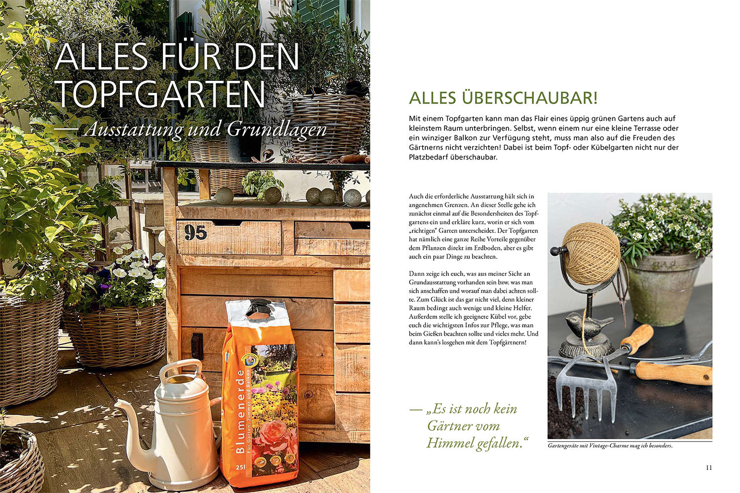 kosmos-mein-wunderbarer-topfgarten-buch-k-bel-einsteiger image 2