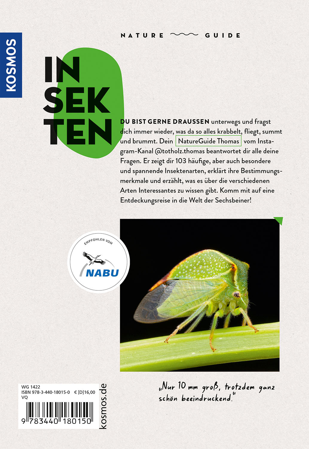 kosmos-nature-guide-insekten-bestimmungsbuch-einsteiger-arten image 2