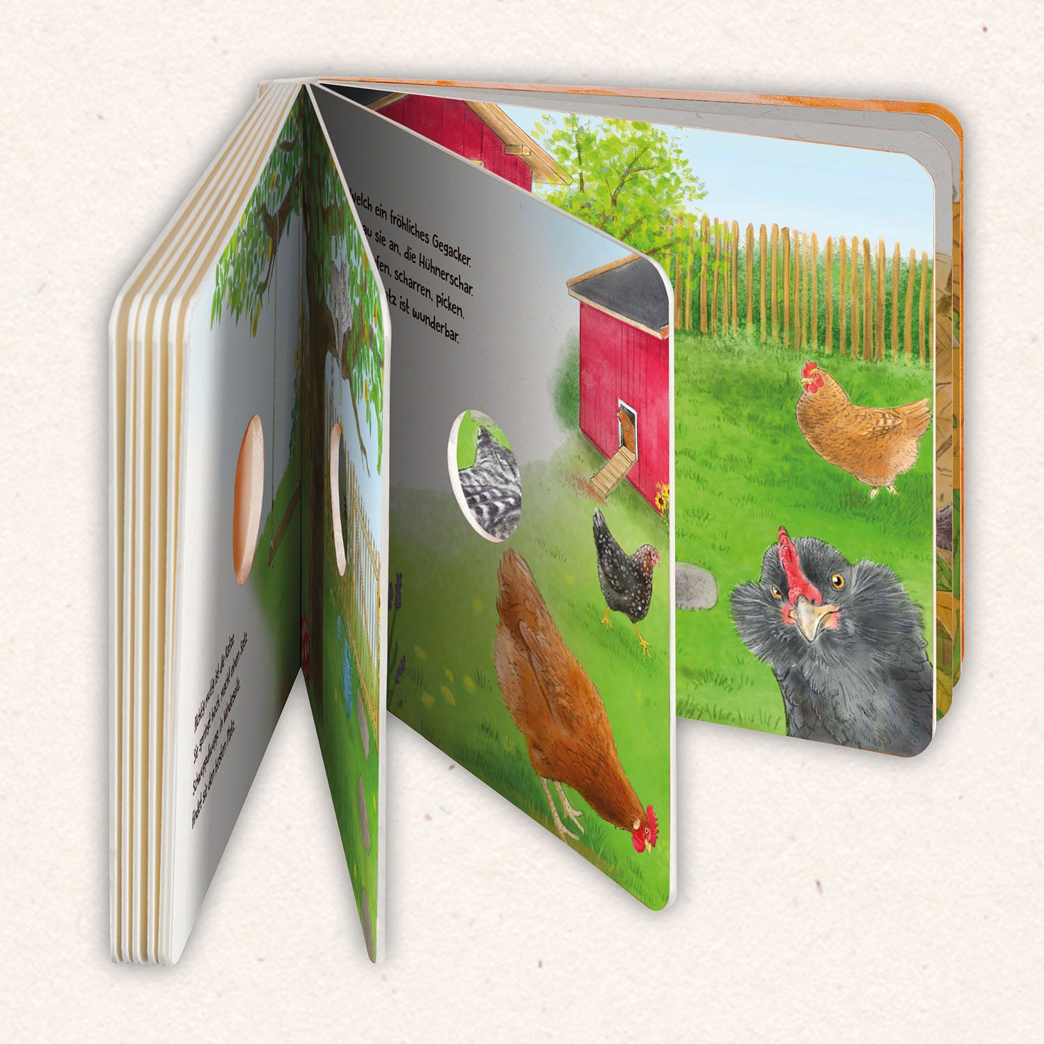 kosmos-guck-mal-in-den-garten-gucklochbuch-pappbilderbuch image 3