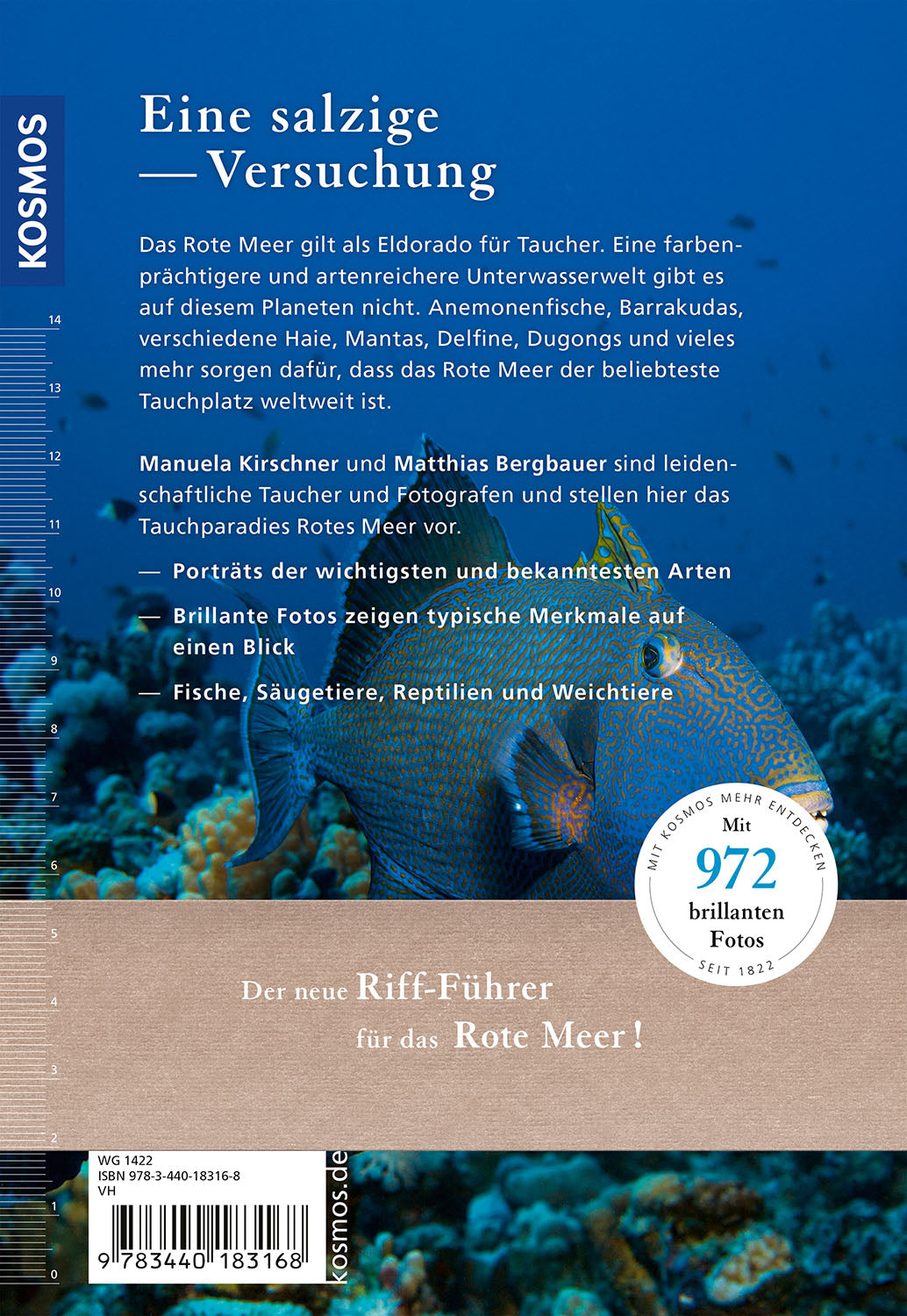 kosmos-riff-f-hrer-rotes-meer-naturf-hrer-tauchen-schnorcheln-2 image 2