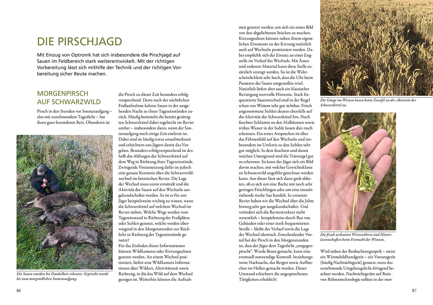 kosmos-nachtjagd-auf-sauen-jagdbuch-schwarzwild image 5