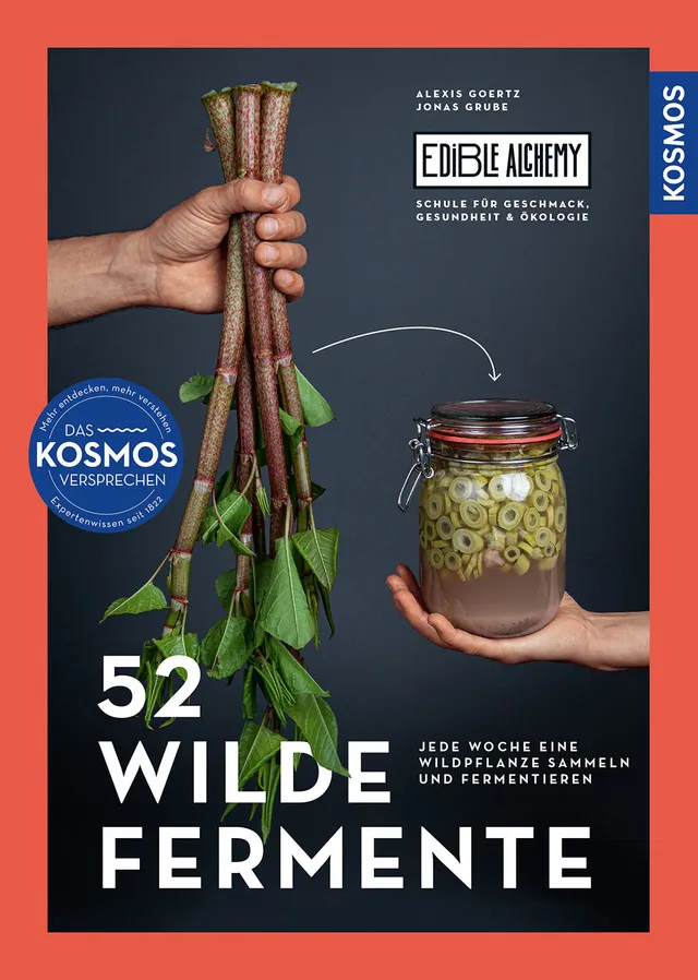 52-wilde-fermente-buch-fermentieren-kimchi-kombucha-ratgeber image 1