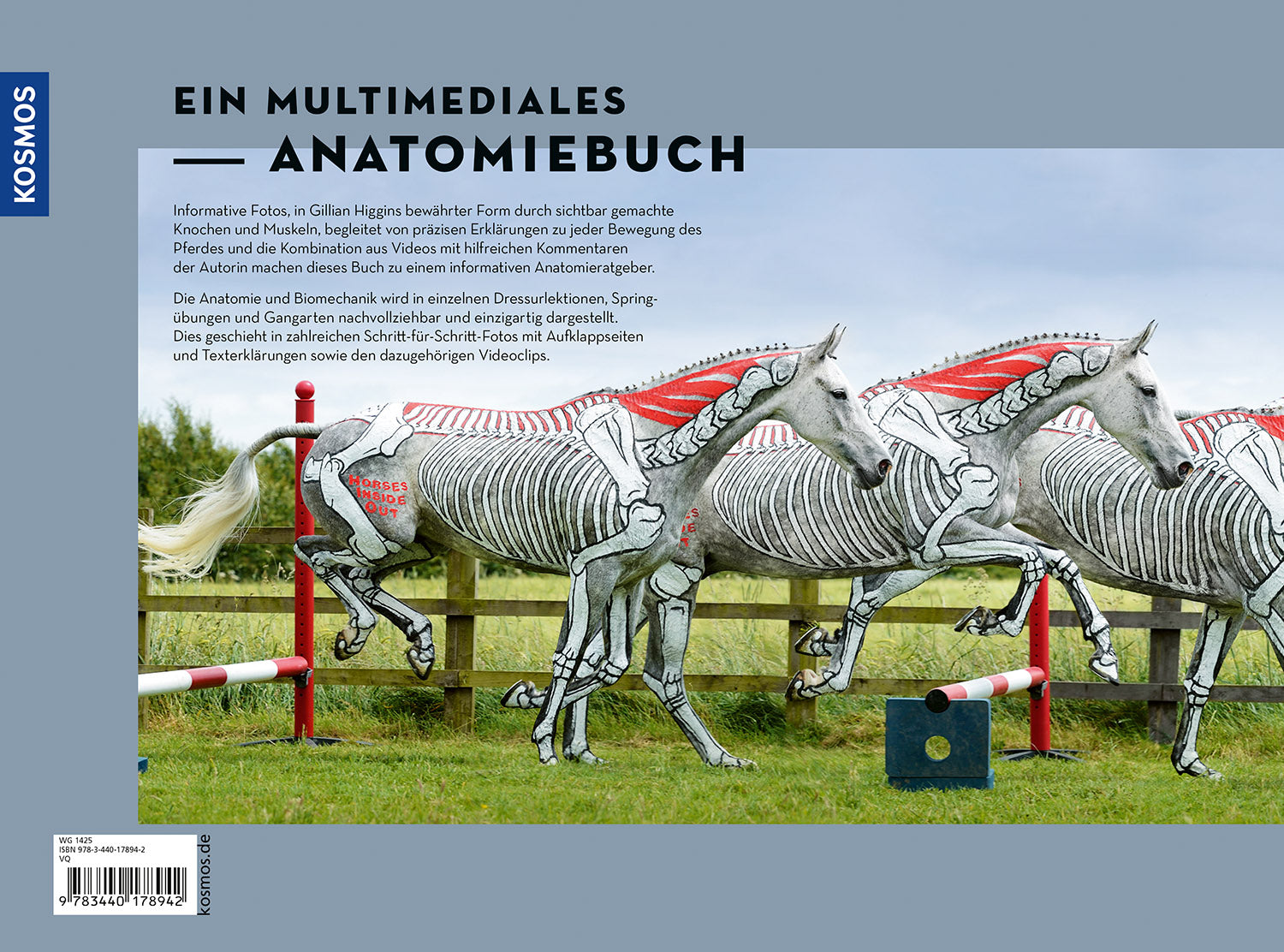 kosmos-anatomie-in-bewegung-pferdebuch-biomechanik-gangarten image 2