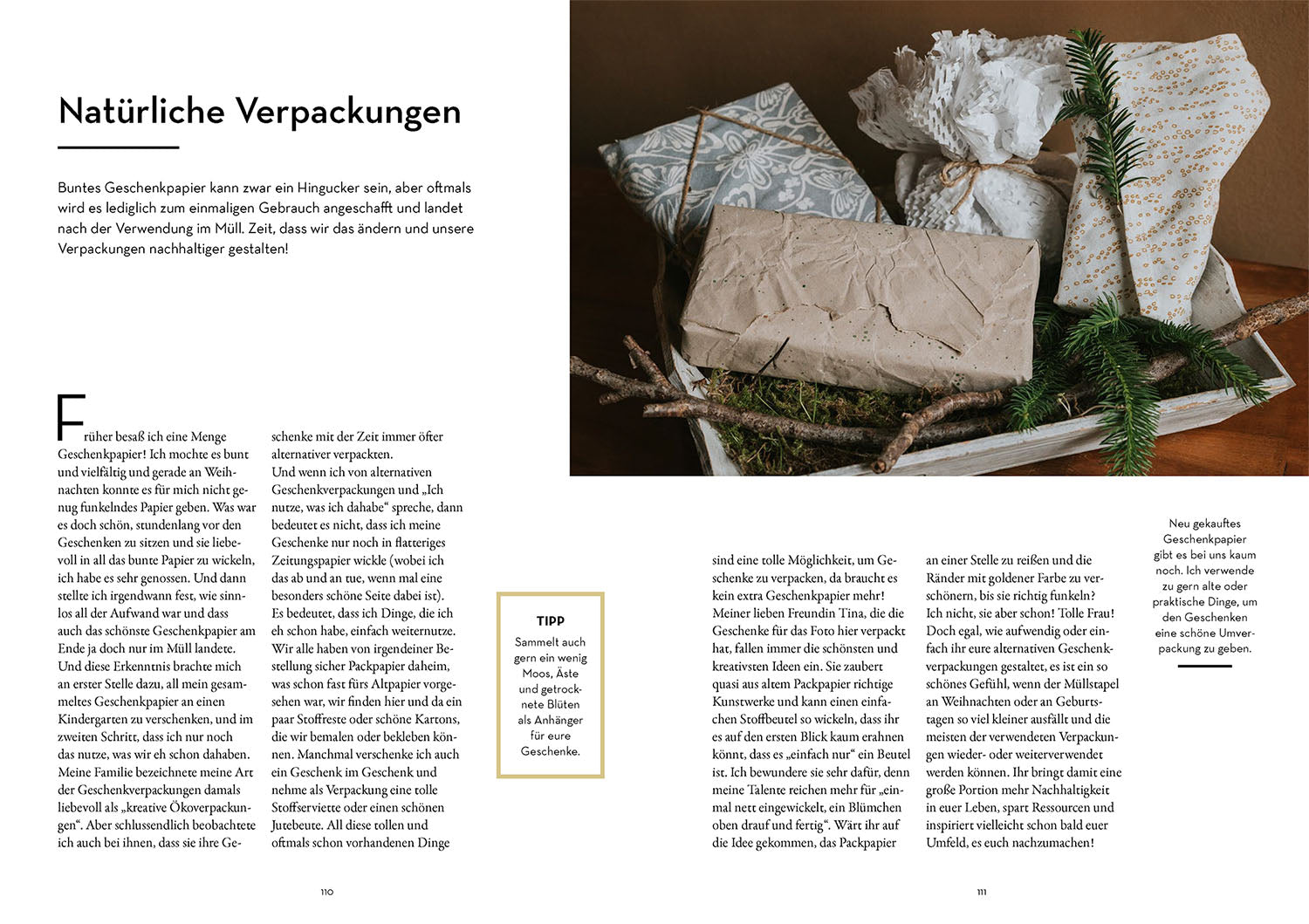 kosmos-geschenke-pflanzen-gartenbuch-diy-geschenke-aus-dem-garten image 6