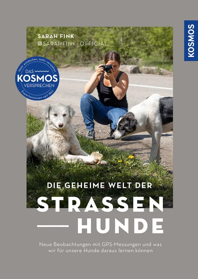 die-geheime-welt-der-stra-enhunde-hundebuch-ebook image 1