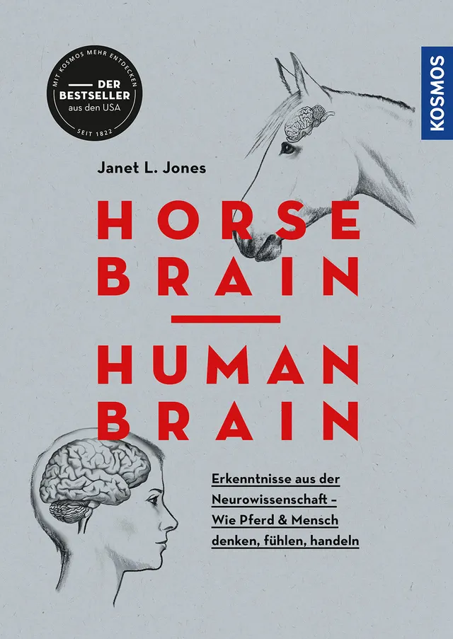 die-zauberkicker-horse-brain-human-brain-buch-pferdegehirn image 1