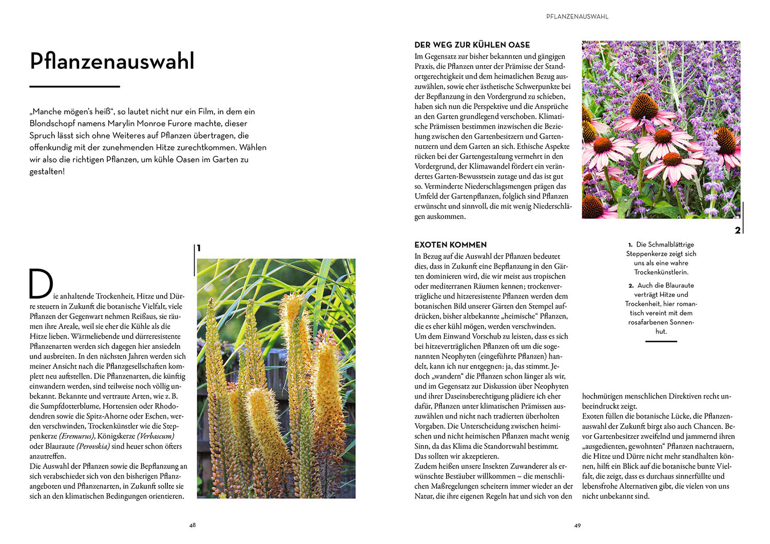 oase-k-hler-garten-ratgeber-gartenbuch-markus-meyer image 2