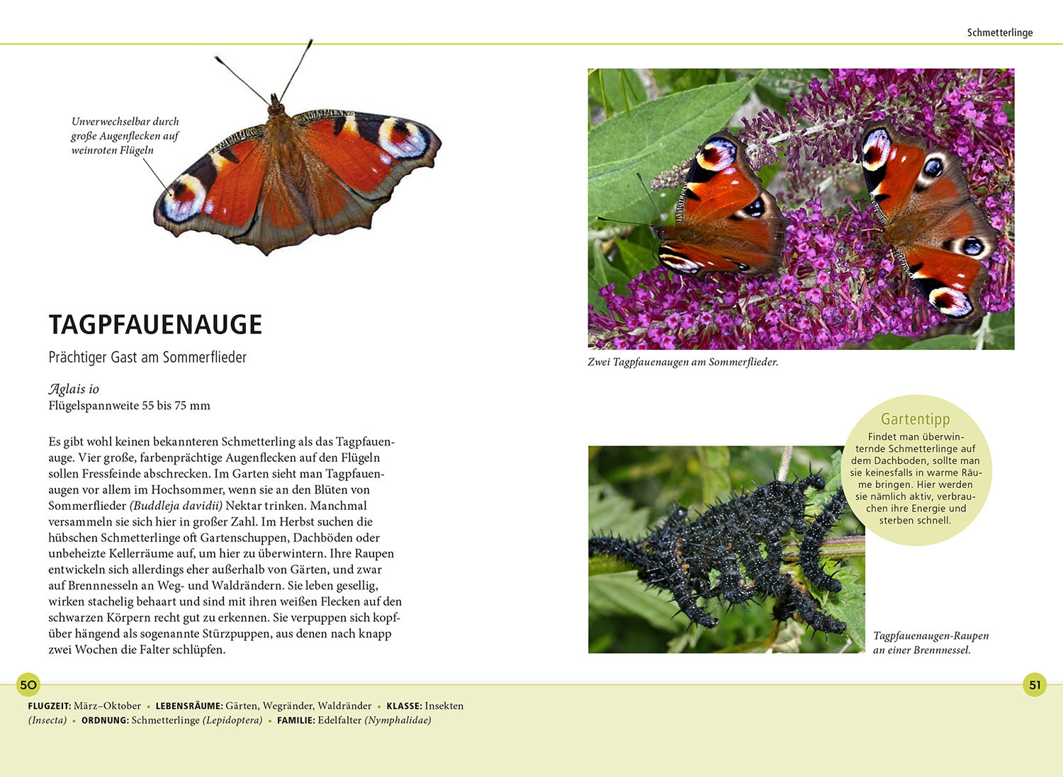 kosmos-gartentiere-lebensgro-naturf-hrer-68-arten-familie image 5