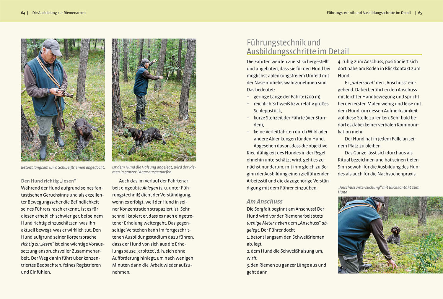 auf-der-schwei-f-hrte-kosmos-buch-nachsuche-jagdhund-schwei-arbeit image 5