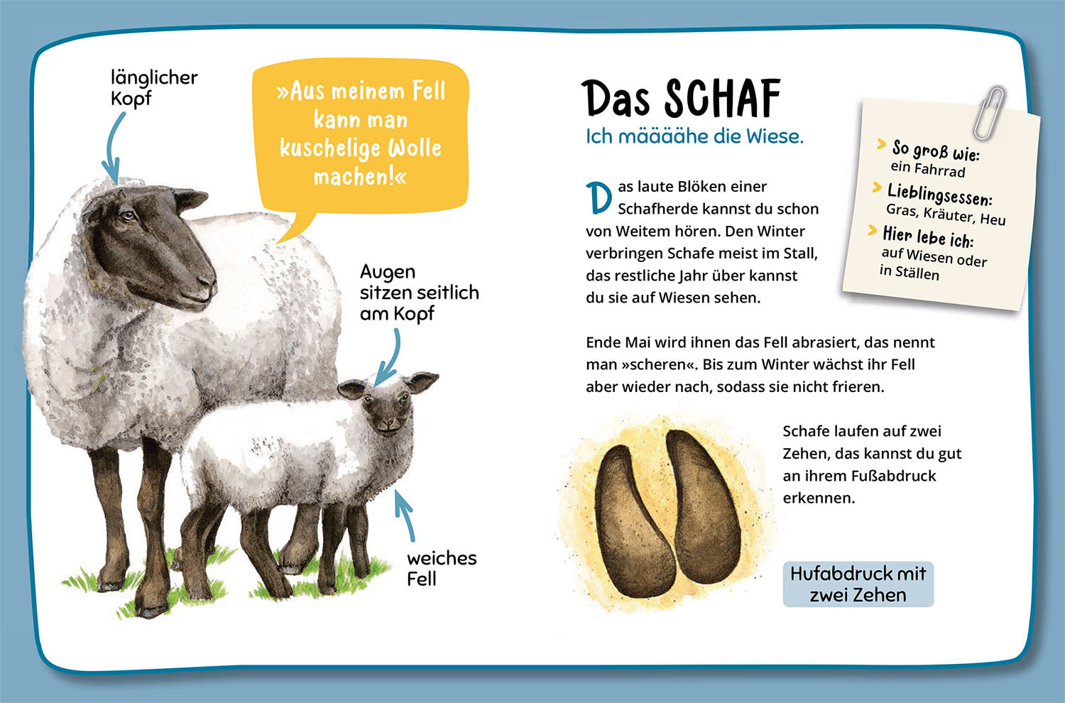 kosmos-mein-erster-naturf-hrer-welche-tierspur-ist-das-buch image 4