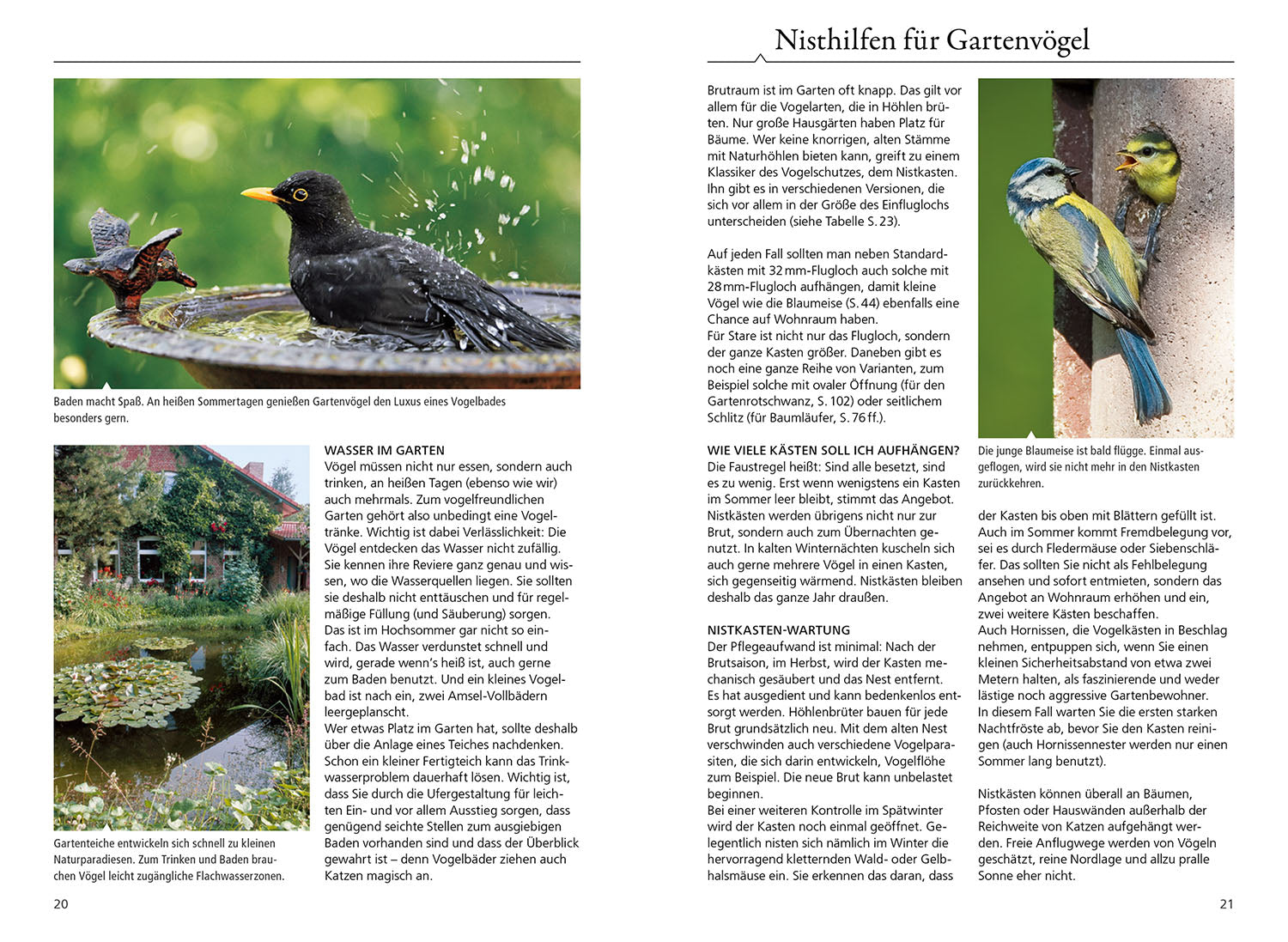 welcher-gartenvogel-ist-das-kosmos-vogelbuch-mit-100-arten-nabu image 4