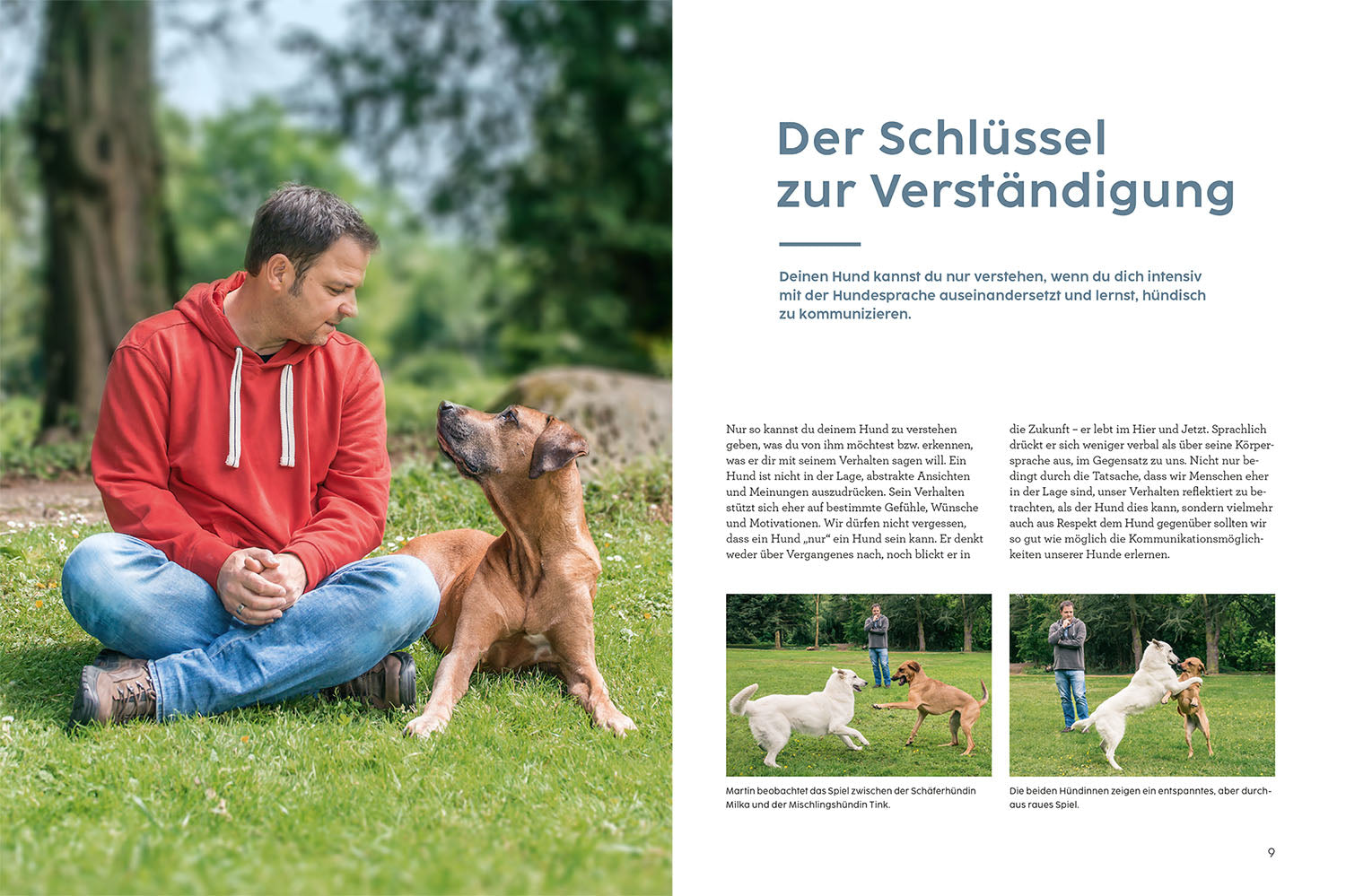 kosmos-sprachkurs-hund-mit-martin-r-tter-ratgeber-hundeverhalten image 3