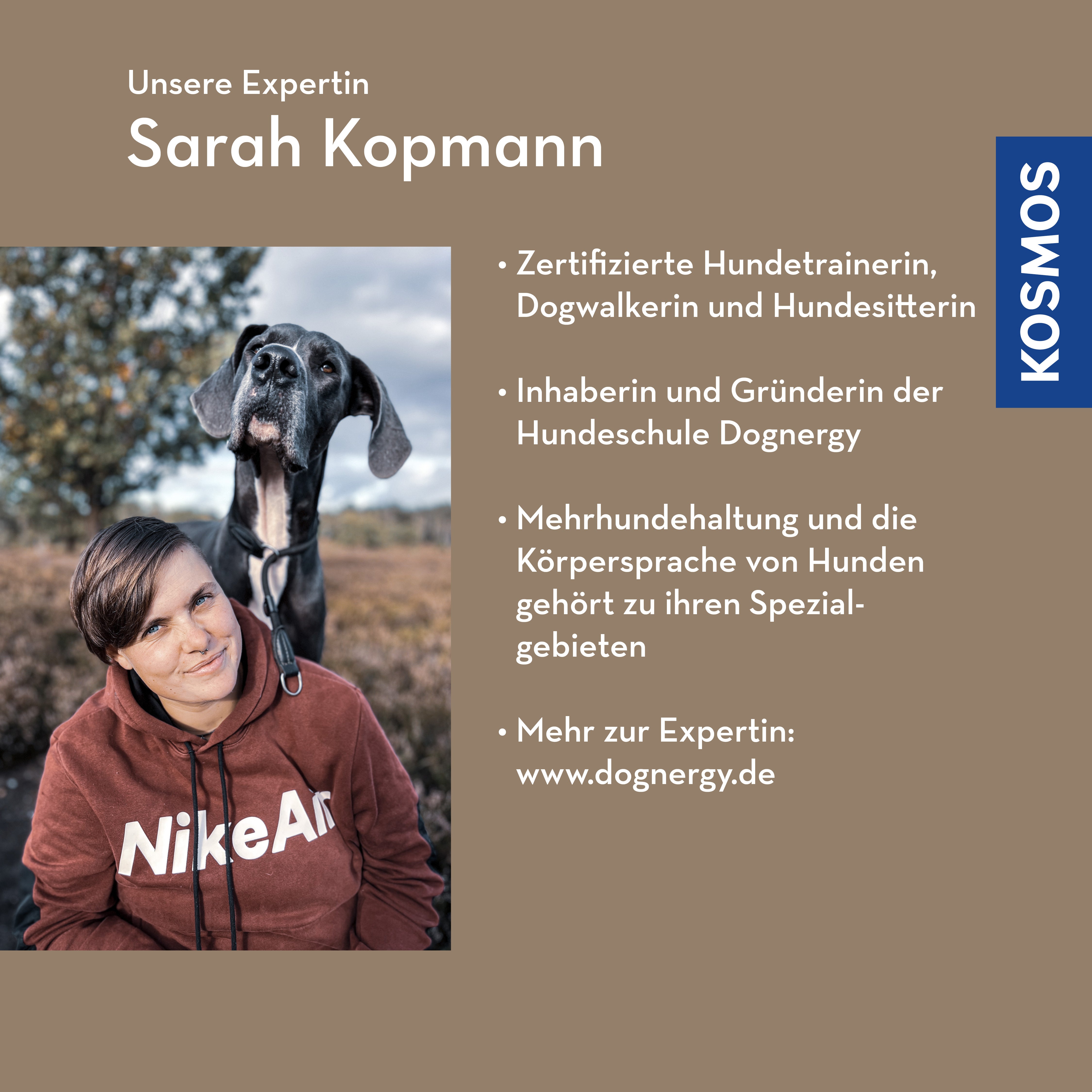adventure-games-digital-mehrere-hunde-ein-plan-webinar image 2