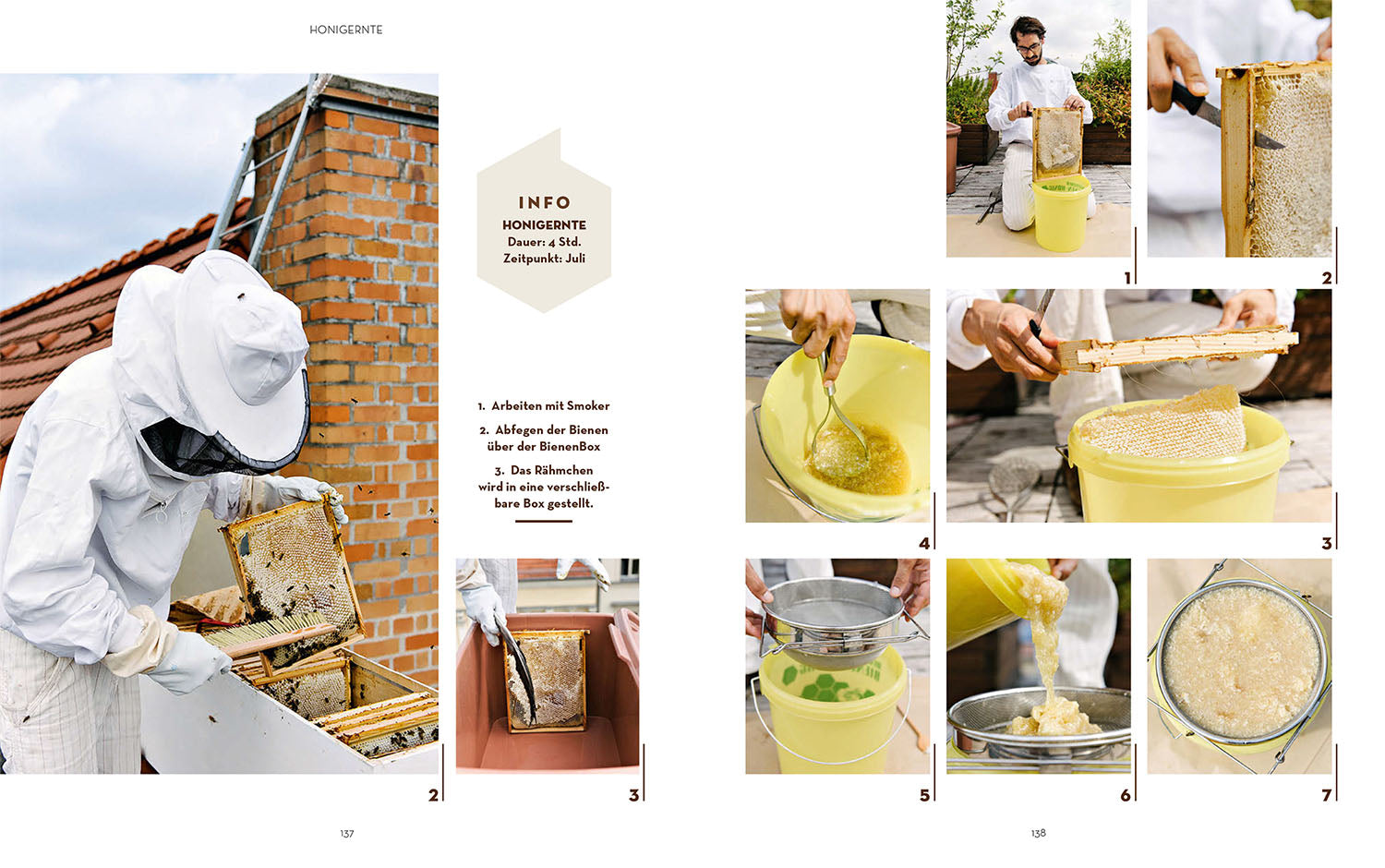 kosmos-bienen-halten-mit-bienenbox-buch-imker-einstieg image 6