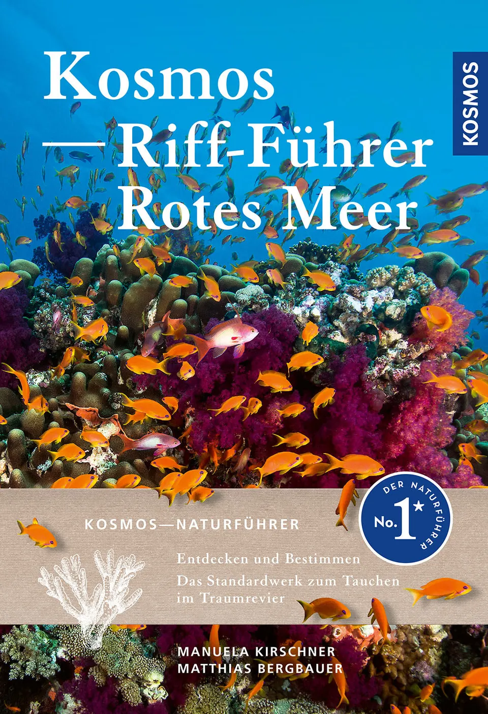 kosmos-riff-f-hrer-rotes-meer-naturf-hrer-tauchen-schnorcheln-2 image 1