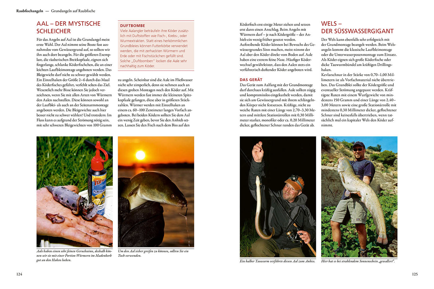 kosmos-praxishandbuch-angeln-angelbuch-einsteiger-raubfisch-friedfisch image 5