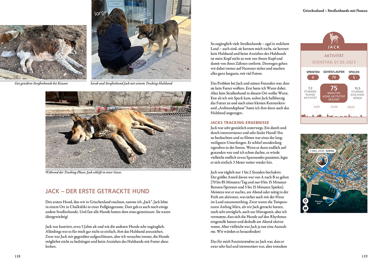 kosmos-die-geheime-welt-der-stra-enhunde-hunderatgeber-buch image 5