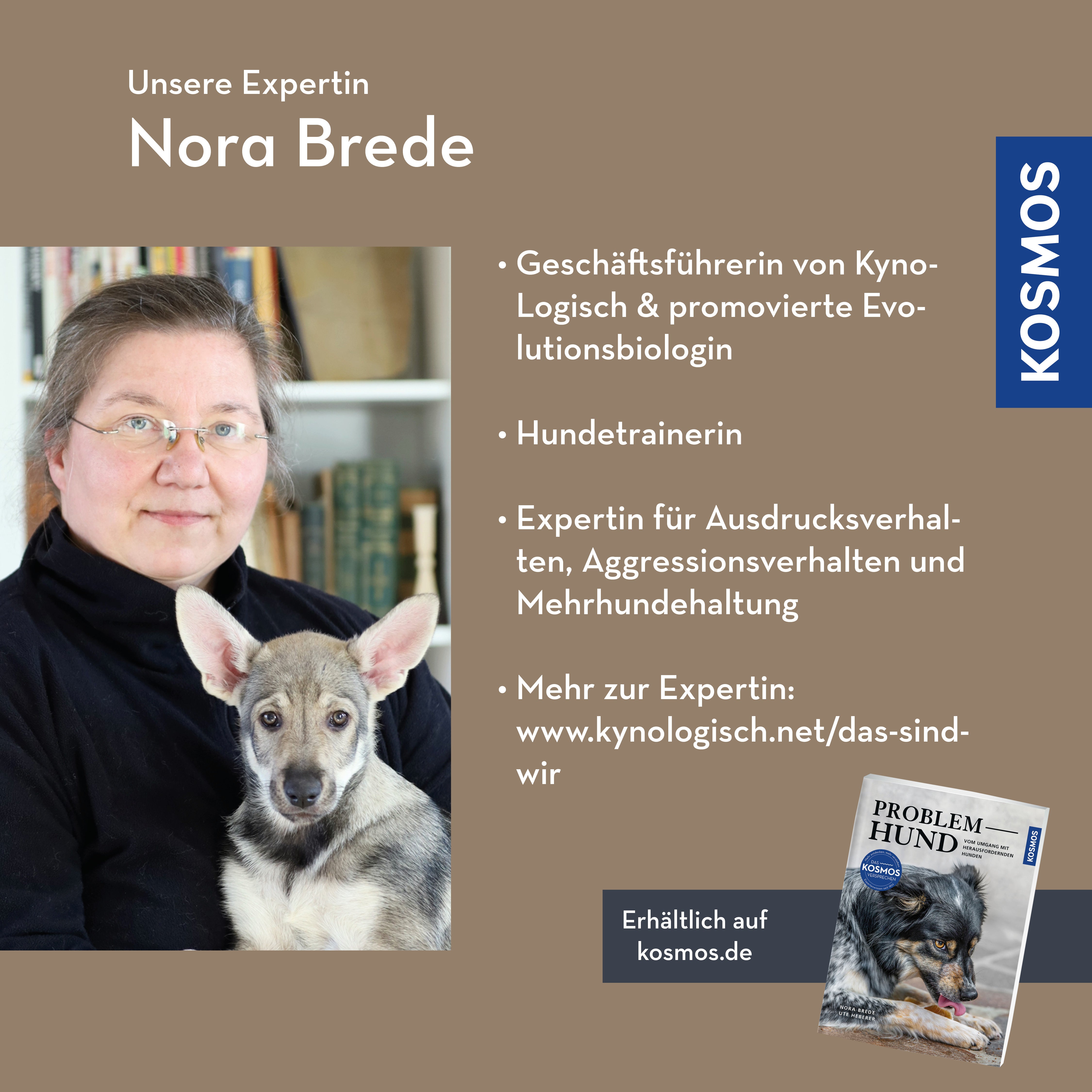 maulk-rbe-ohne-vorurteile-webinar-live-webinar-hund image 2