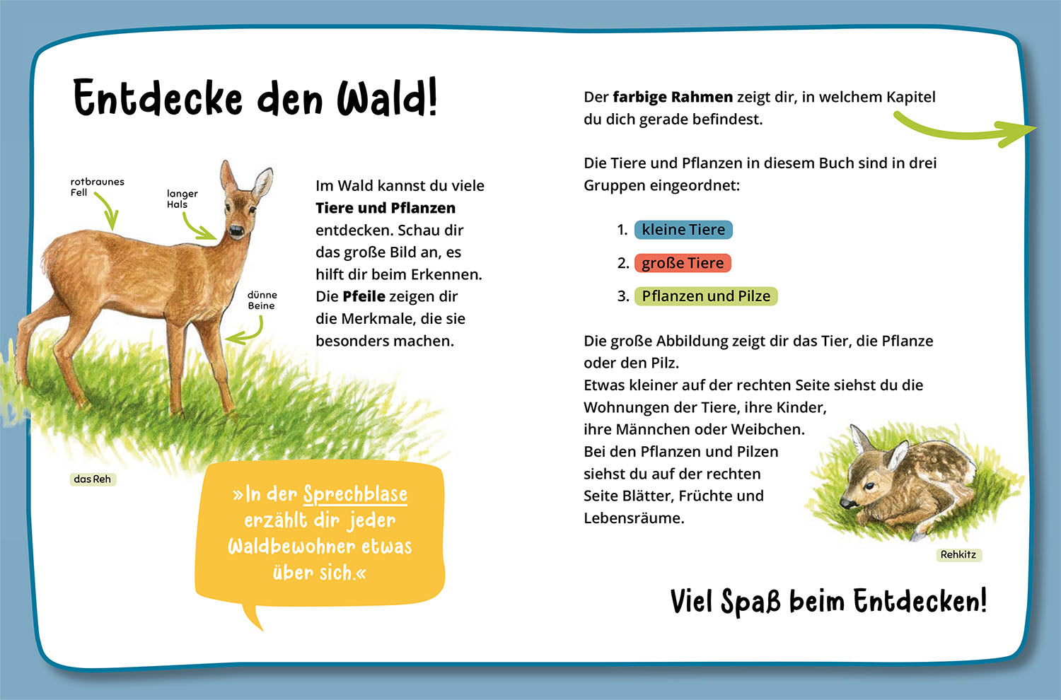 kosmos-mein-erster-naturf-hrer-was-lebt-im-wald-ab-4-jahren image 3