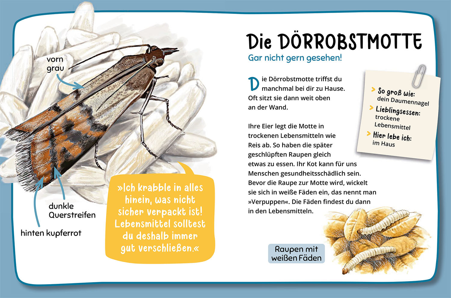 kosmos-mein-erster-naturf-hrer-welche-tierspur-ist-das-buch image 5