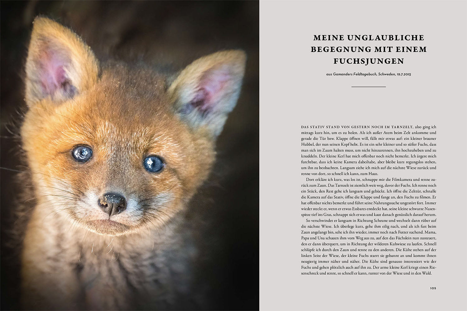 kosmos-moments-in-nature-buch-naturbildband-bestseller image 6