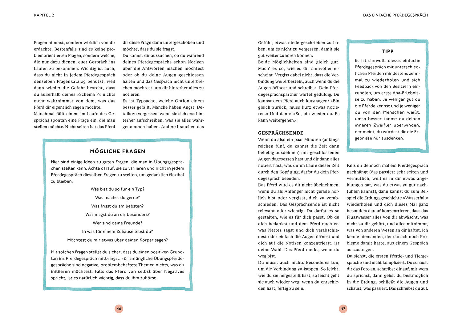die-zauberkicker-gespr-che-mit-deinem-pferd-buch-tierkommunikation image 4