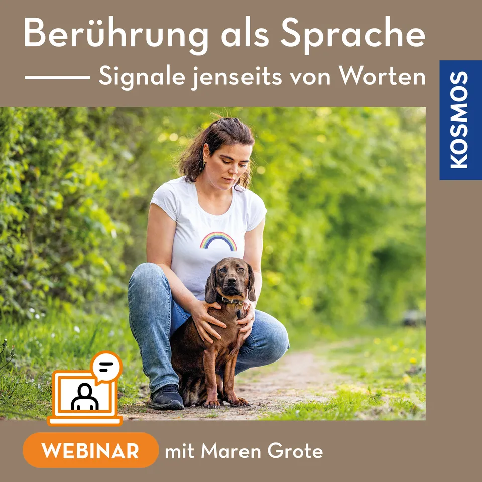 adventure-games-digital-ber-hrung-als-sprache-webinar-hund image 1