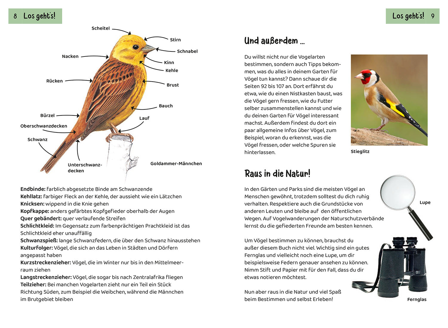 kosmos-welcher-gartenvogel-ist-das-kindernaturf-hrer-mit-app image 3
