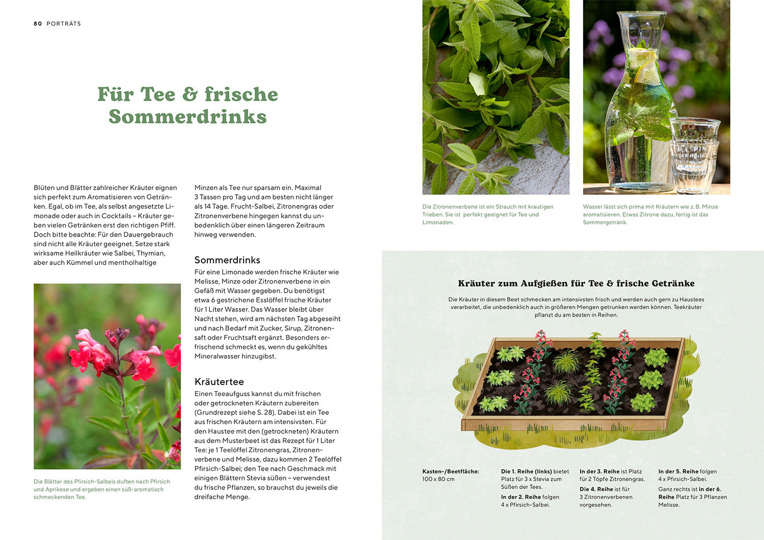 kosmos-kr-utergarten-ratgeber-kr-uterbeet-einsteiger image 6