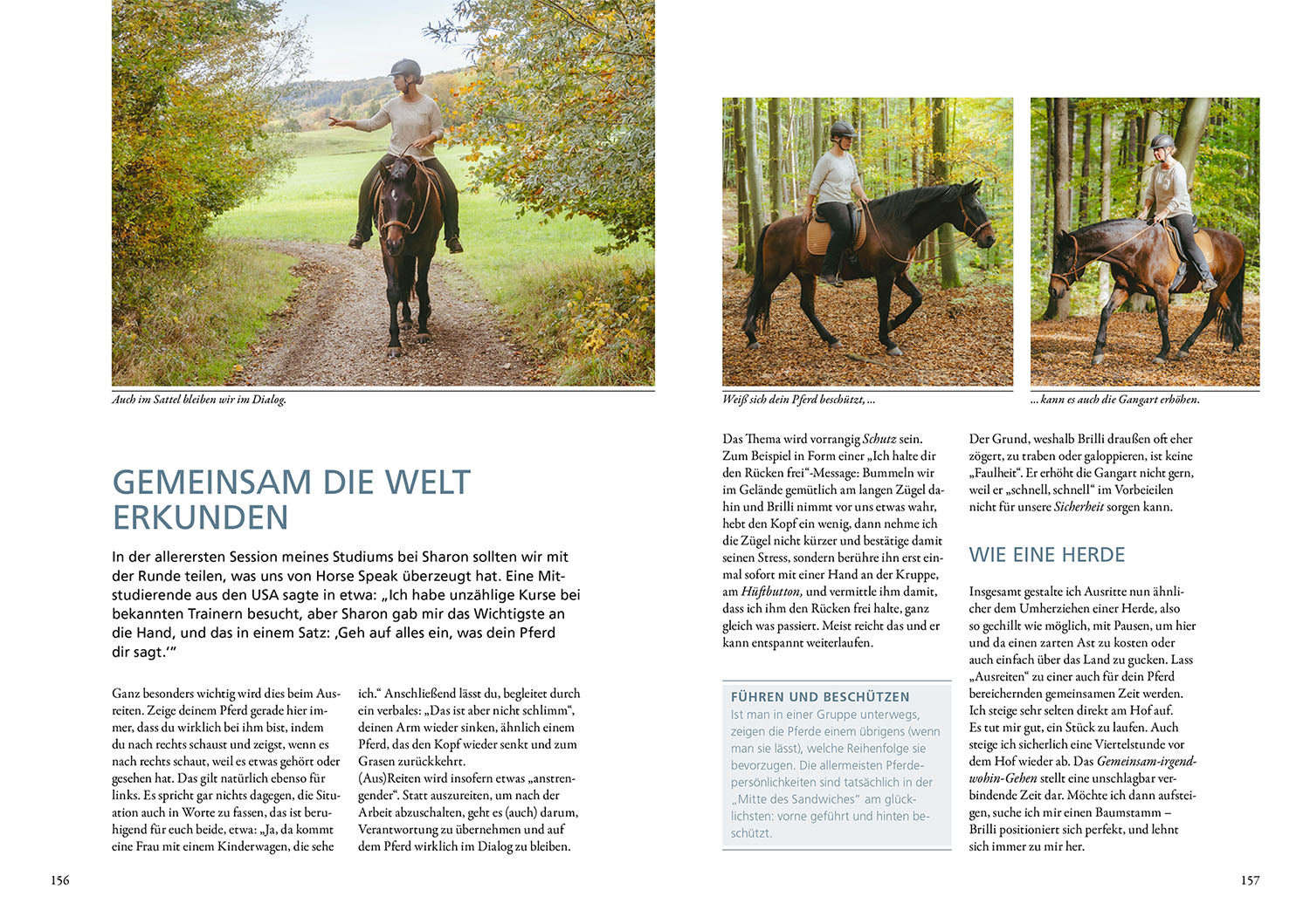 kosmos-horse-speak-buch-basis-f-r-feines-reiten-pferd image 6