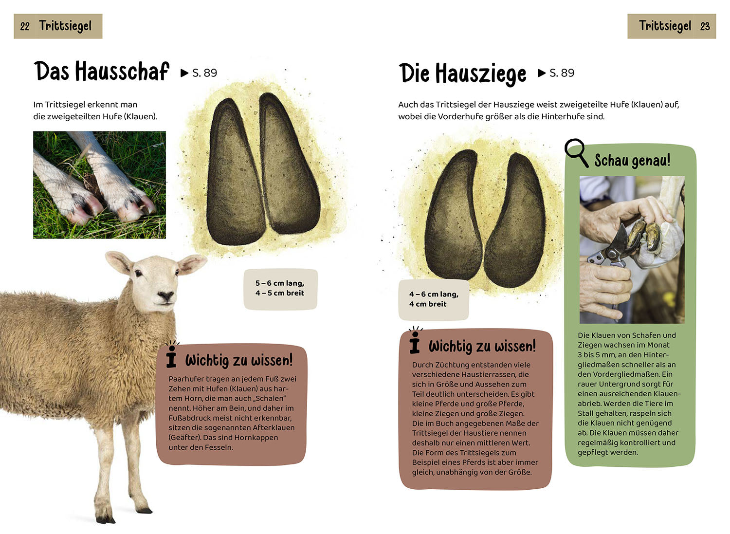 kosmos-welche-tierspur-ist-das-kindernaturf-hrer-200-spuren image 4