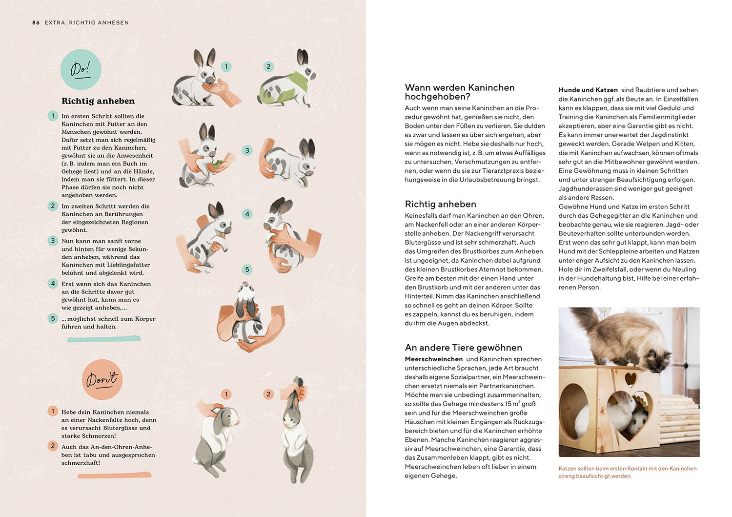 zwergkaninchen-ratgeber-haltung-gehege-ern-hrung-buch image 6