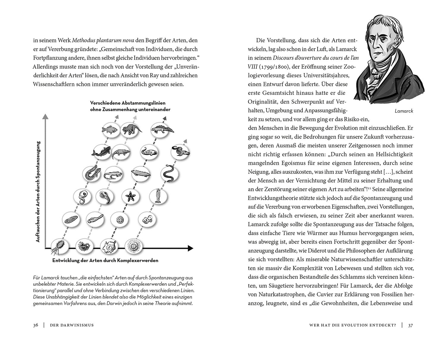 adventure-games-b-cher-einfach-darwin-sachbuch-evolution image 4