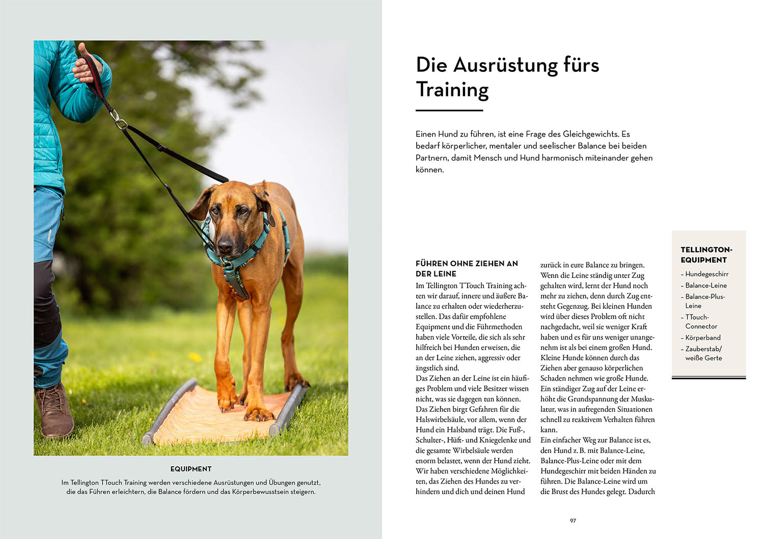 kosmos-tellington-training-f-r-hunde-ratgeber-buch-ttouches image 5